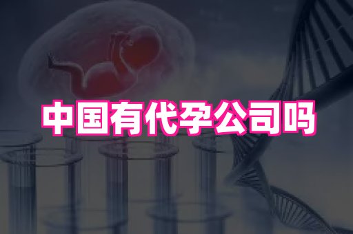国际助孕网站 3