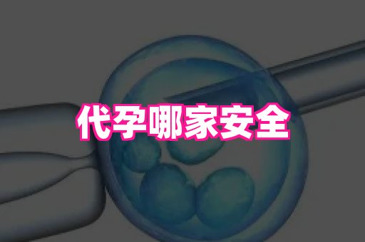 国际助孕网站 4